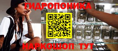 соль ск Сланцы
