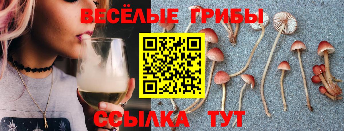Орск  Псилоцибиновые грибы Magic Shrooms  Вход с VPN 