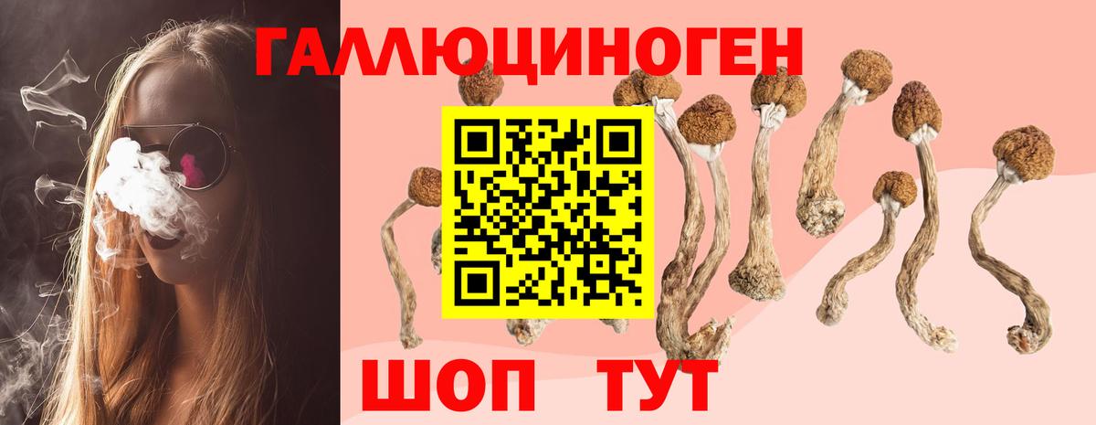 Псилоцибиновые грибы Cubensis Орск